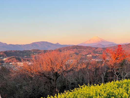 今年もよろしくお願いします