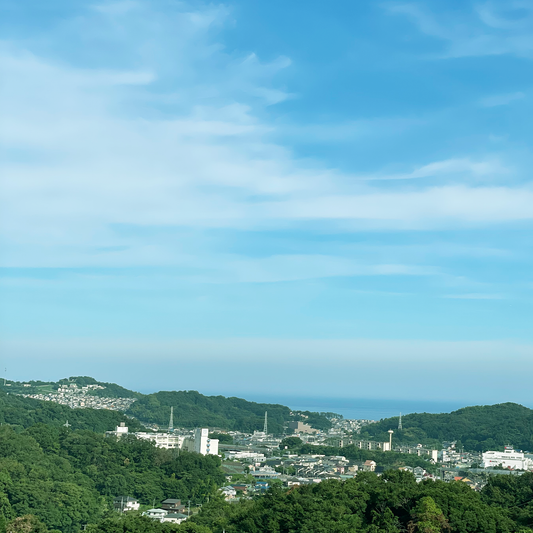 移転のお知らせ・湘南のはしっこ二宮町にお引越しします