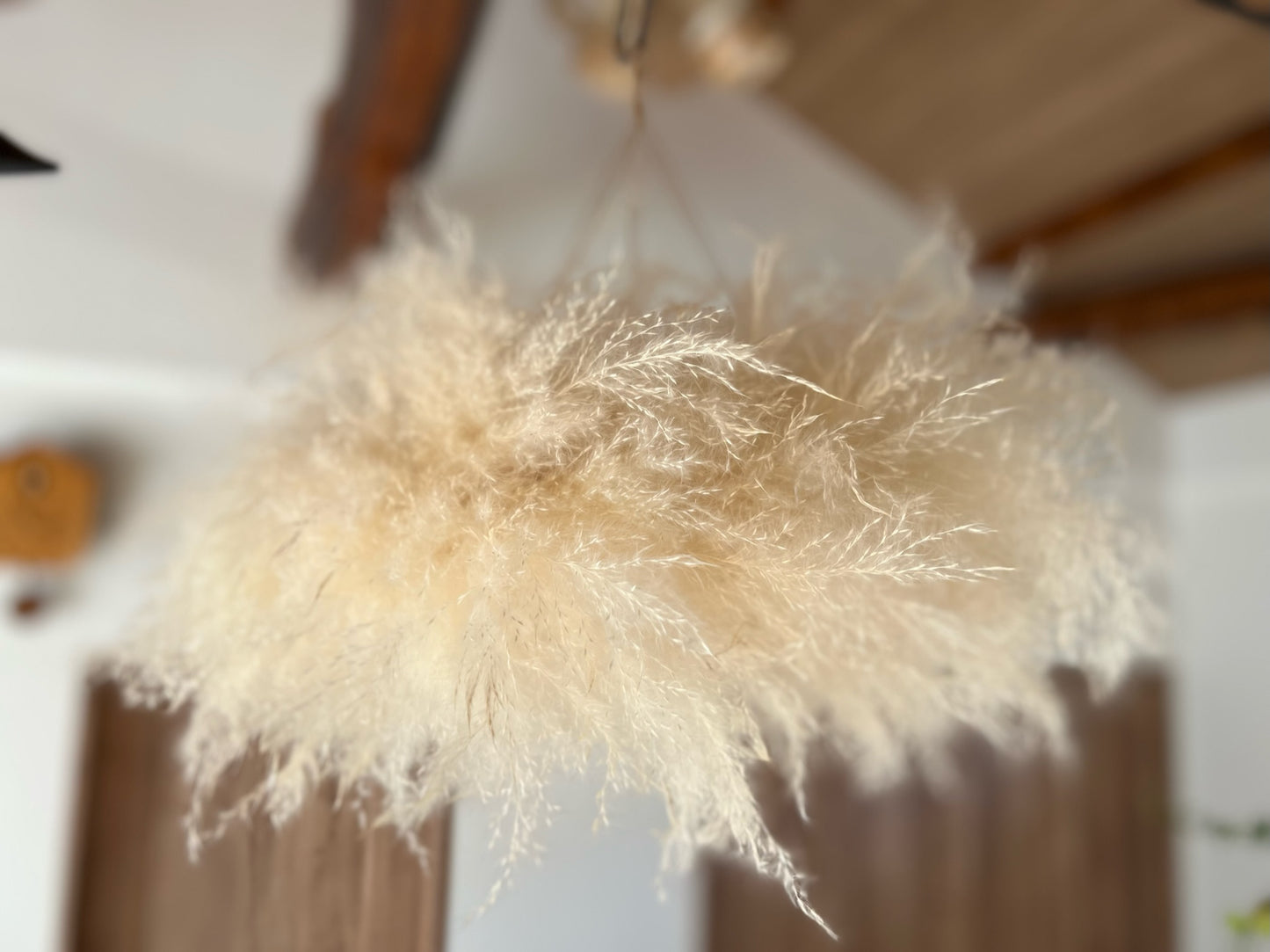 パンパス フライングリース