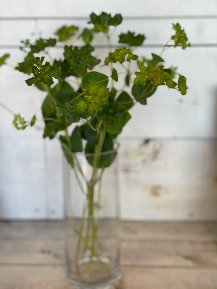 花瓶(フラワーベース)シリンダー 23